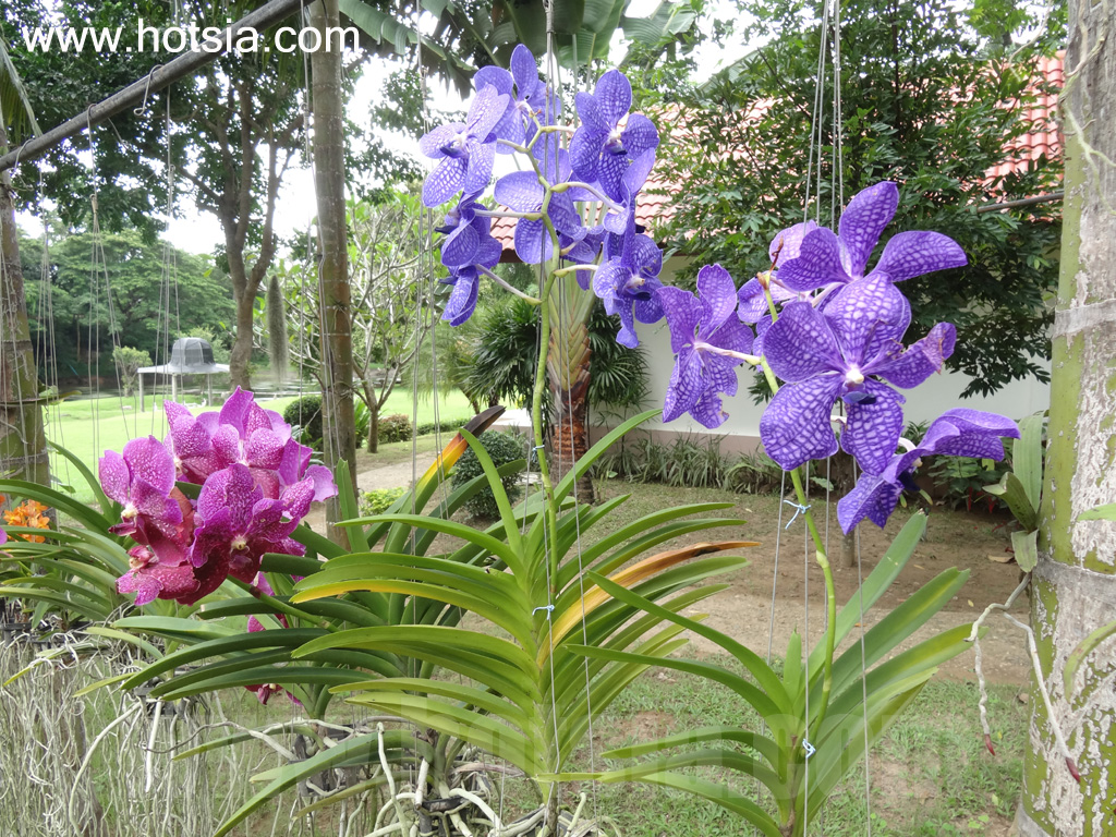 เที่ยวเพชรบุรี วิมานน้ำแก่งกระจาน