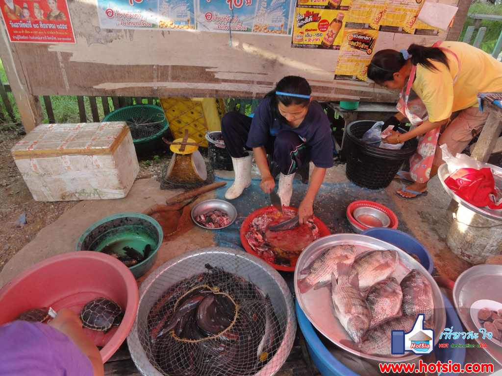 เที่ยวเพชรบุรี ตลาดหน้าวัดยาง เพชรบุรี