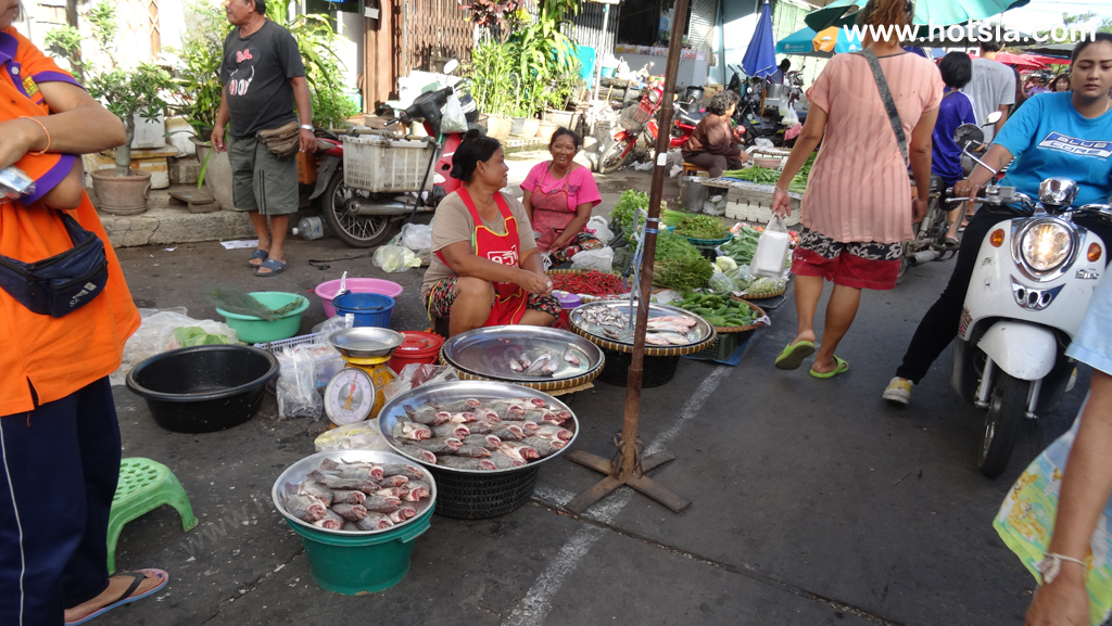 จังหวัดพิจิตร ตลาดเช้าตะพานหิน