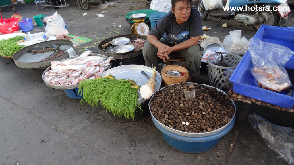 จังหวัดพิจิตร ตลาดเช้าตะพานหิน