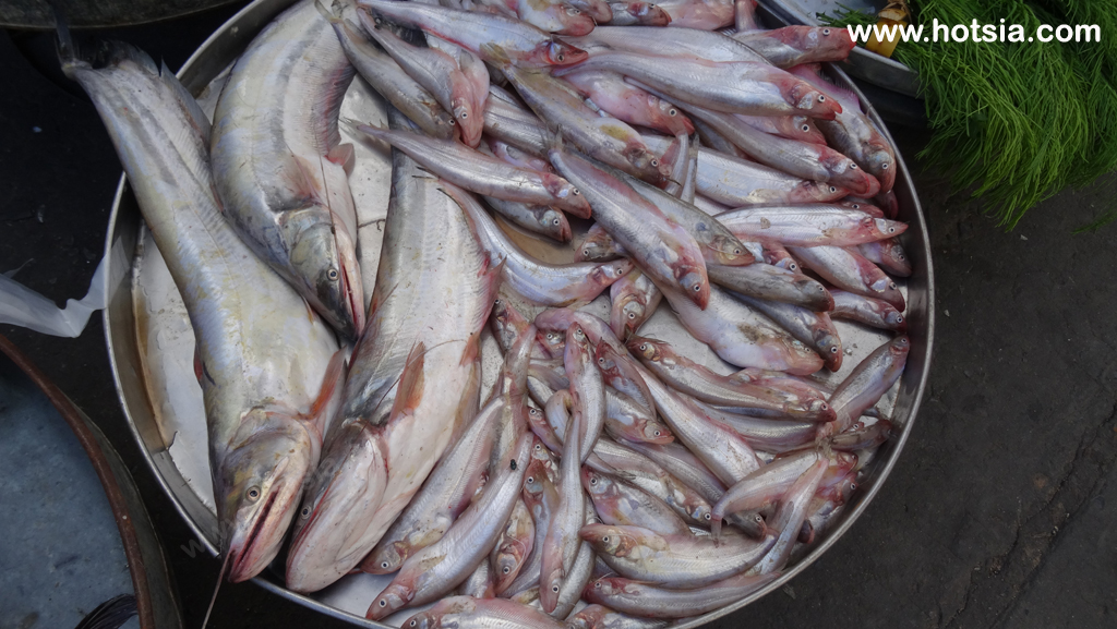 จังหวัดพิจิตร ตลาดเช้าตะพานหิน