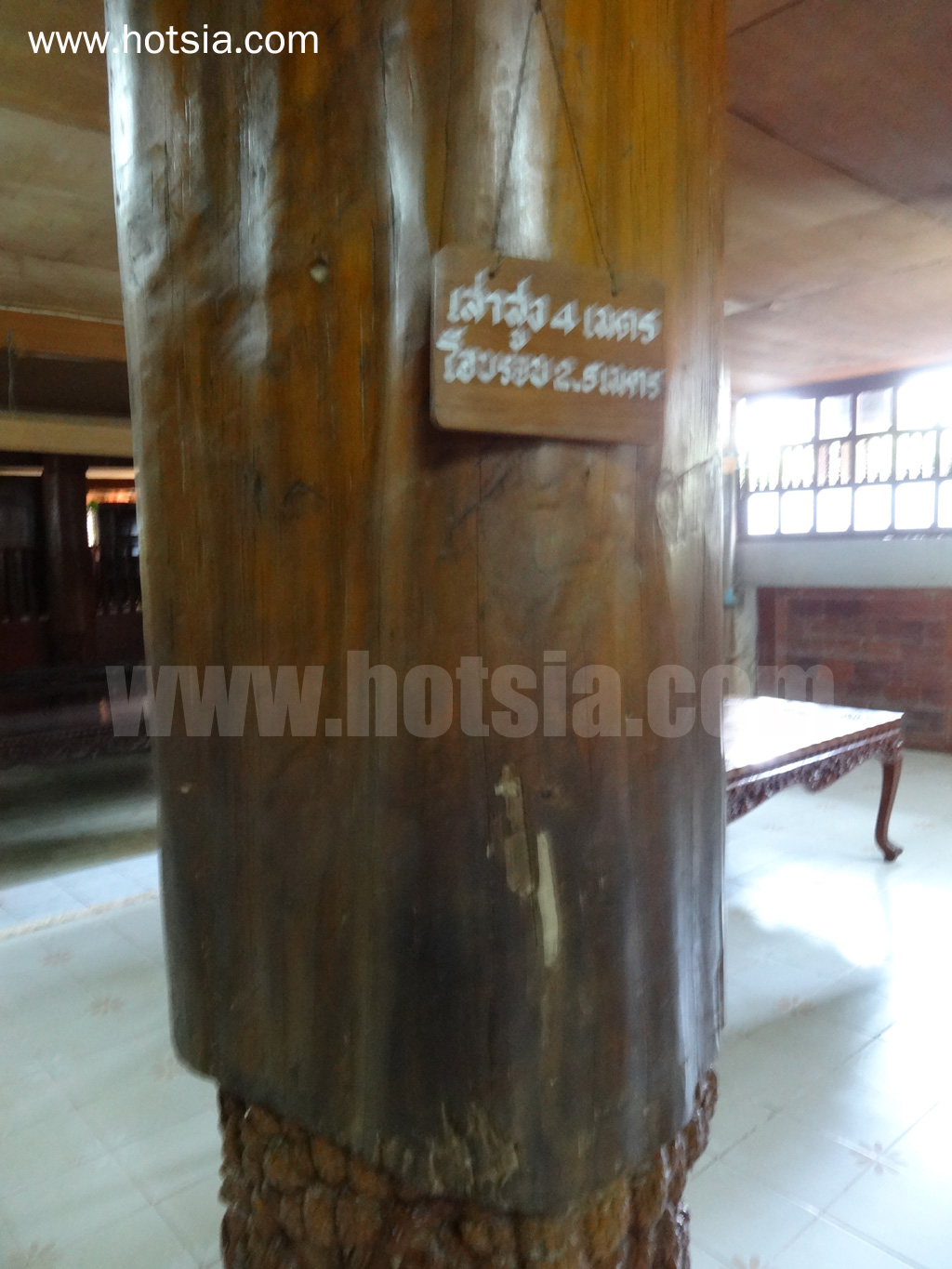 เมืองแพร่ บ้านประทับใจ บ้านไม้สัก 130 ต้นเ เมืองแพร่