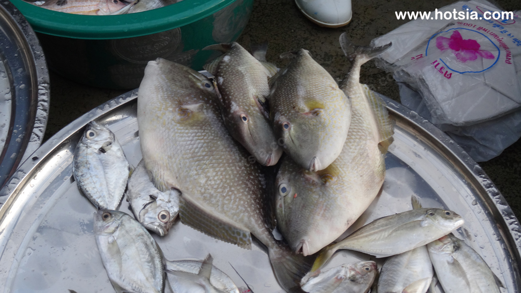 ระนอง ตลาดพม่า ตลาดเช้าชาวระนอง