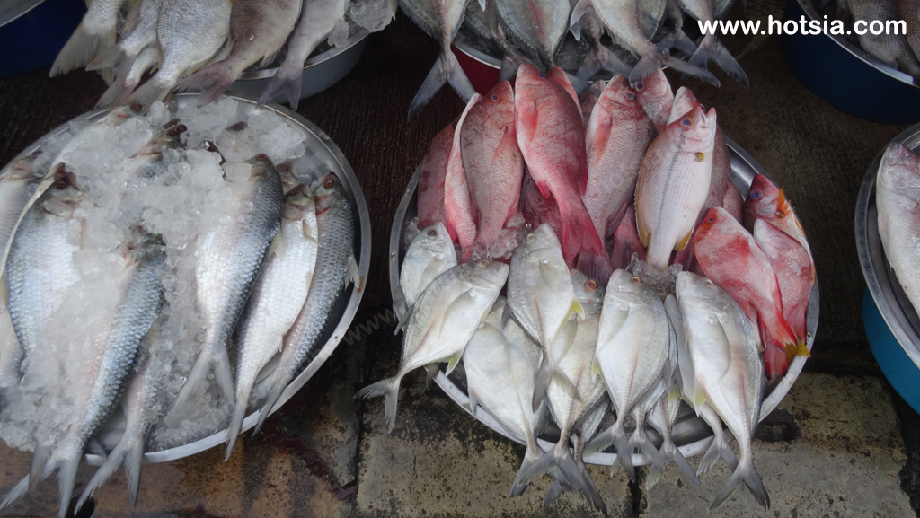 ระนอง ตลาดพม่า ตลาดเช้าชาวระนอง