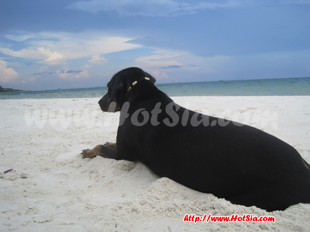 ระยอง เที่ยวราตรีที่เสม็ด ที่พักบนเกาะเสม็ด ที่พักเสม็ด