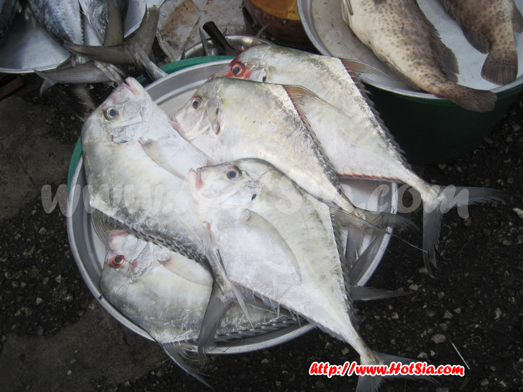 ระยอง ตลาดวัดลุ่มจังหวัดระยอง