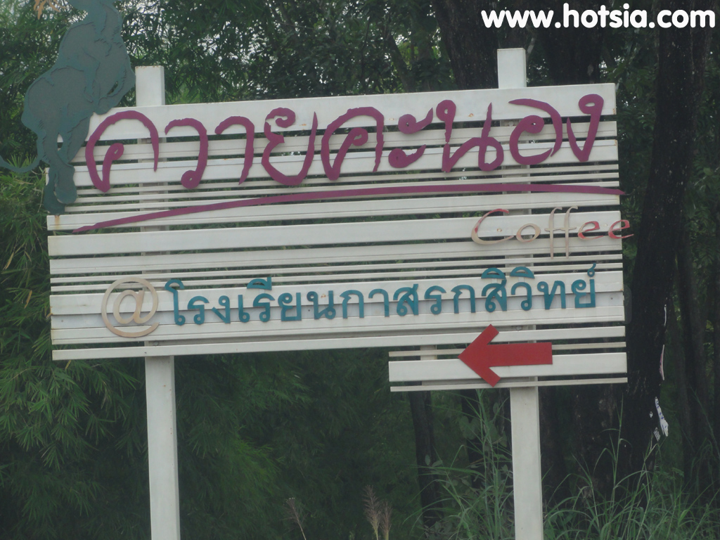 เที่ยวจังหวัดสระแก้ว ควายคะนอง