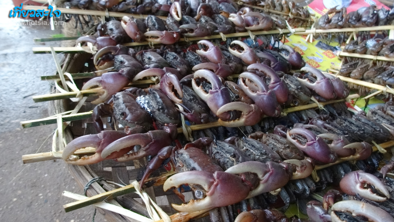 สกลนคร ตลาดเช้าสกลนคร