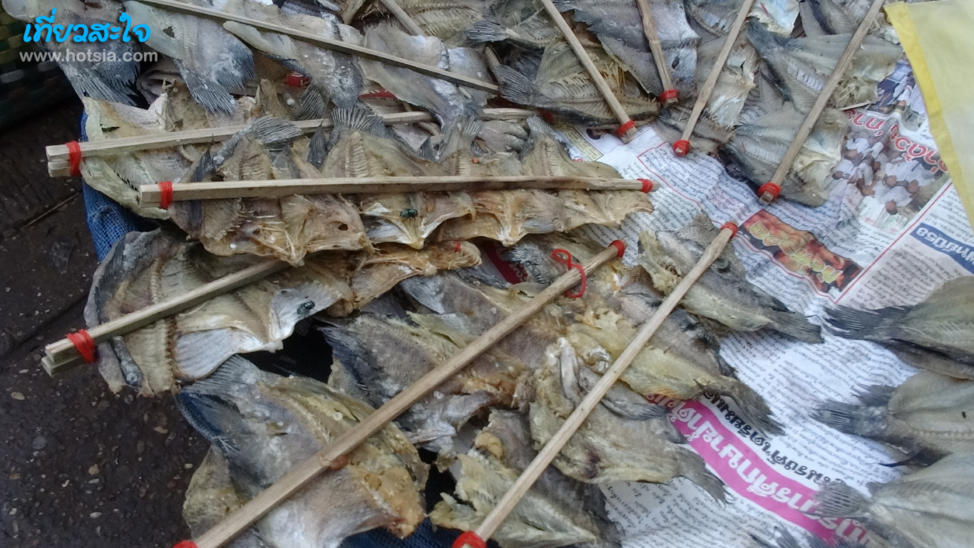 สกลนคร ตลาดเช้าสกลนคร