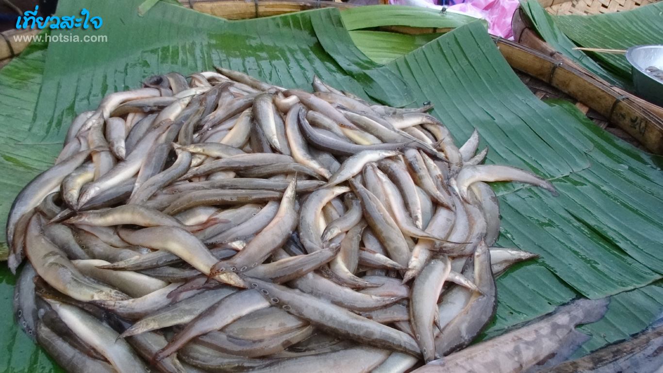 สกลนคร ตลาดเช้าสกลนคร