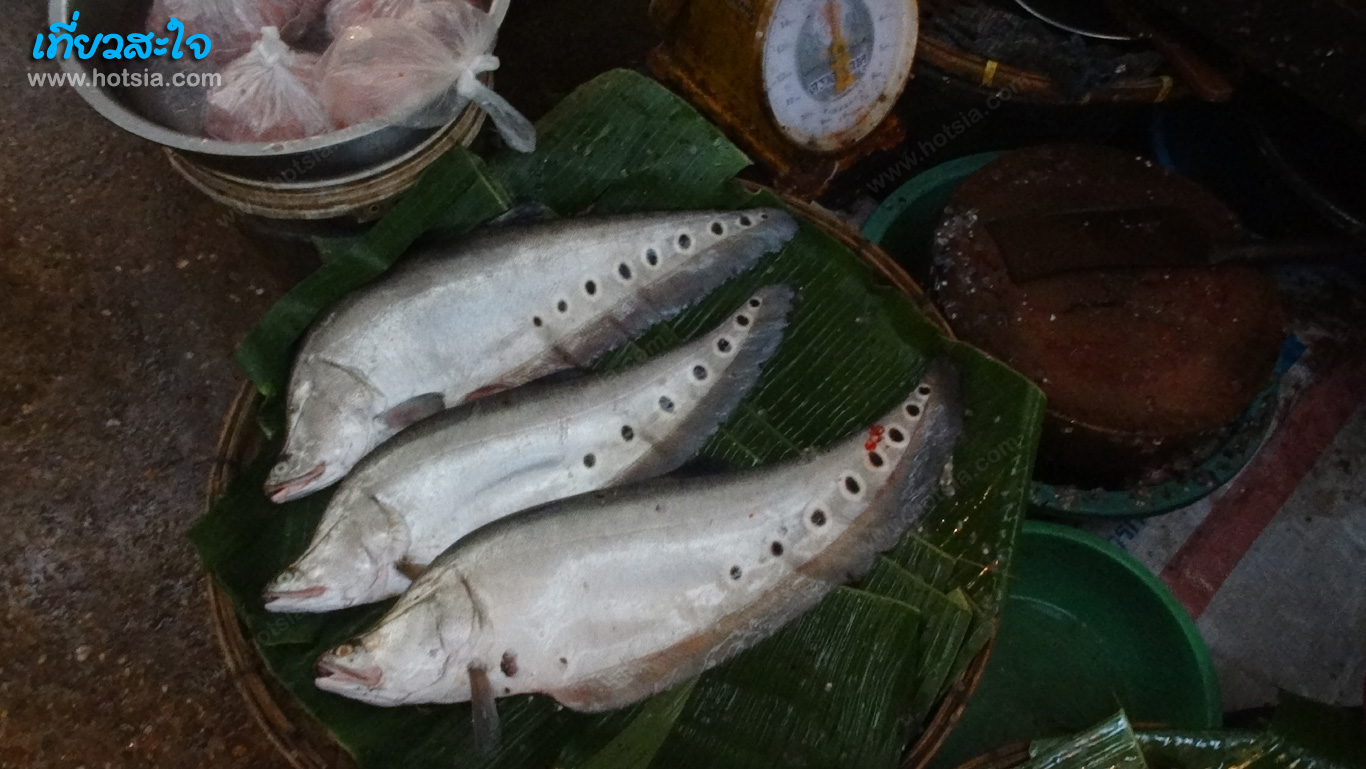สกลนคร ตลาดเช้าสกลนคร