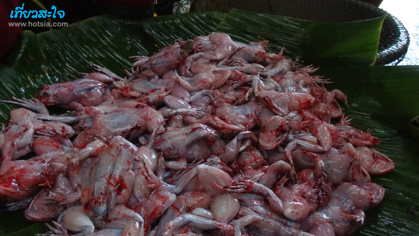 สกลนคร ตลาดเช้าสกลนคร