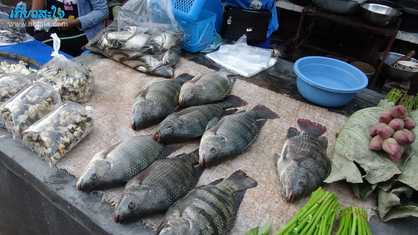 สกลนคร ตลาดเช้าสกลนคร