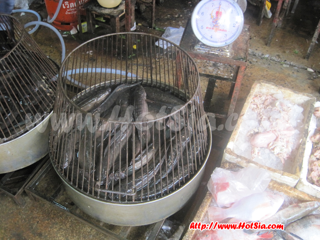 สิงห์บุรี ปลาร้าที่ตลาดเช้าสิงห์บุรี
