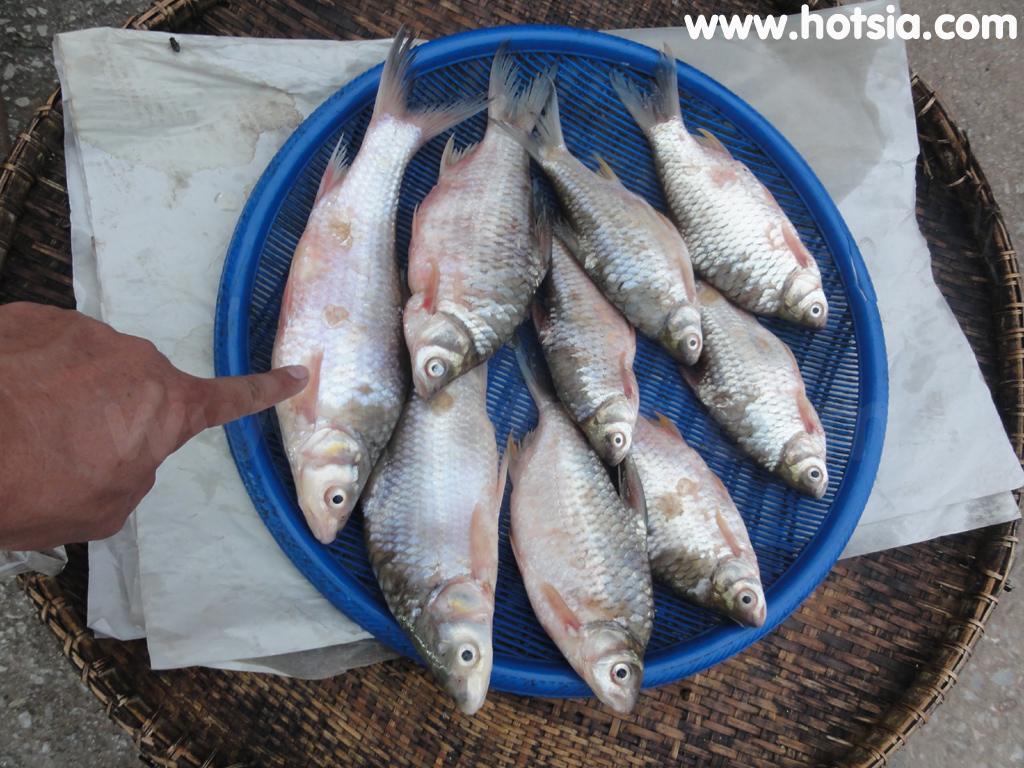 เที่ยวสุโขทัย ตลาดเย็นสุโขทัย
