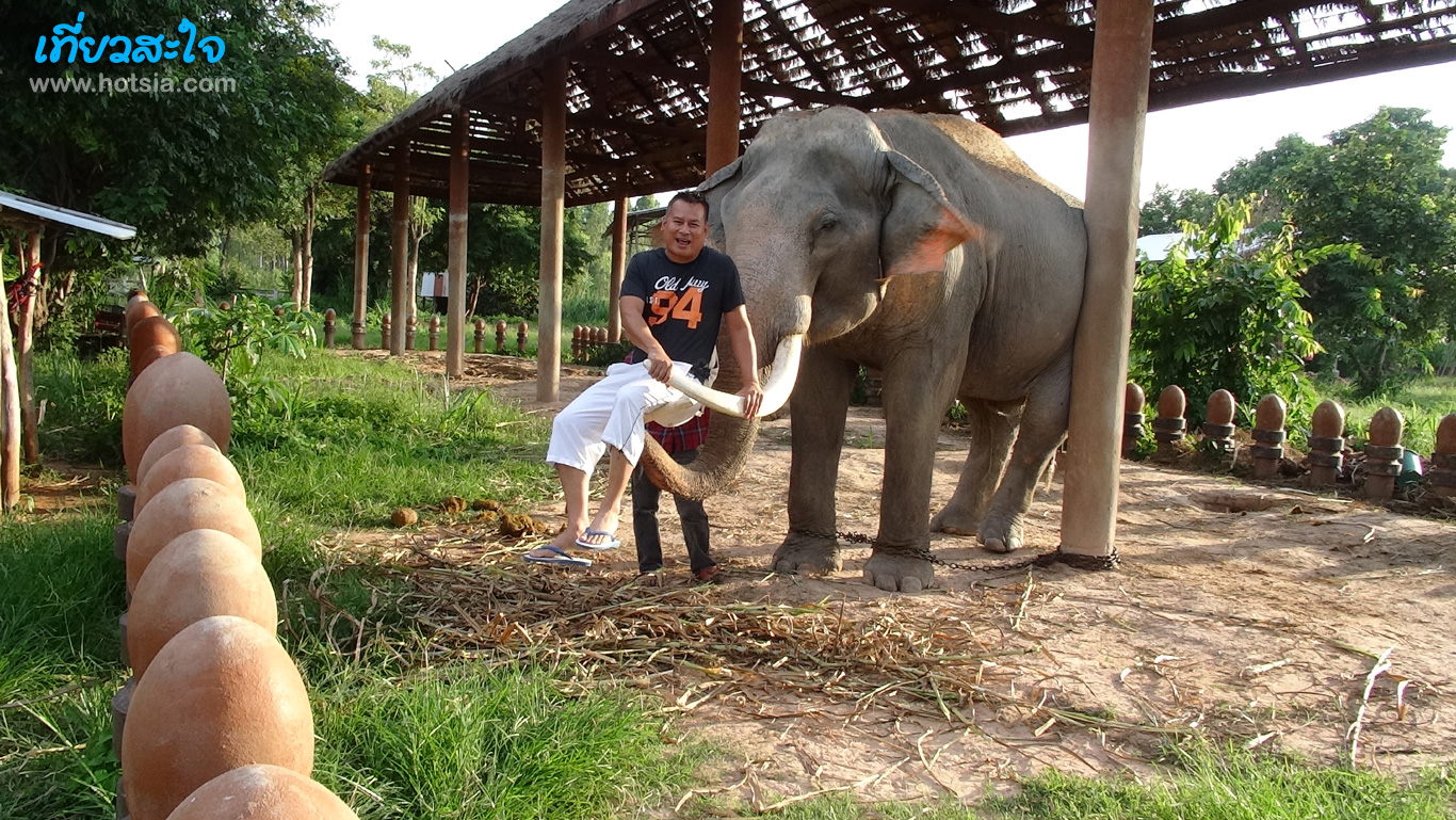 สุรินทร์ หมู่บ้านช้างบ้านตากลาง หมู่บ้านช้าง จังหวัดสุรินทร์