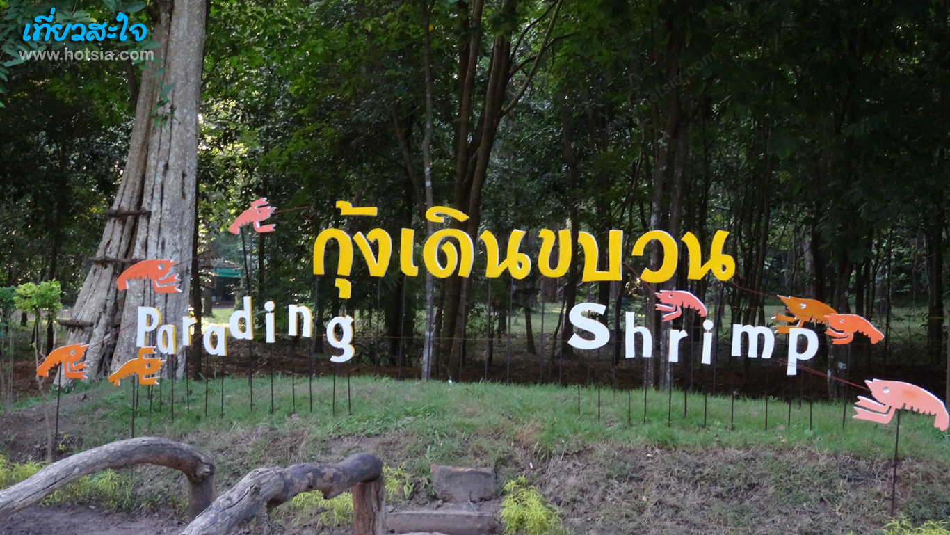 อุบลราชธานี เที่ยวสะใจเบื้องหลังกุ้งเดินขบวนไปไหนกัน