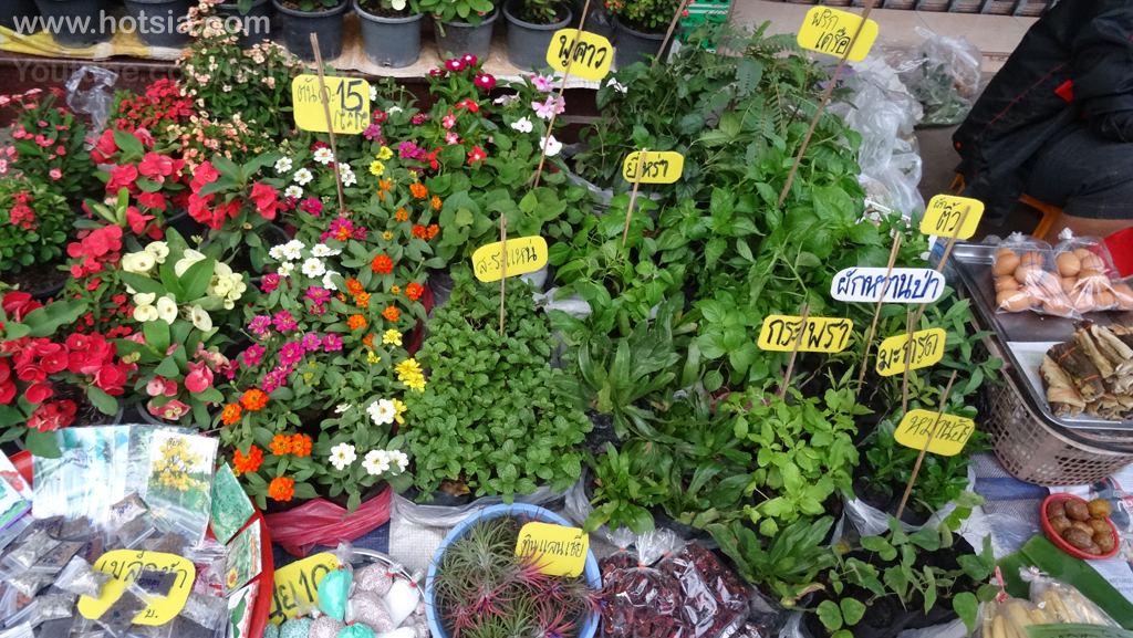เที่ยวอุดร ตลาดเช้าอุดรธานี