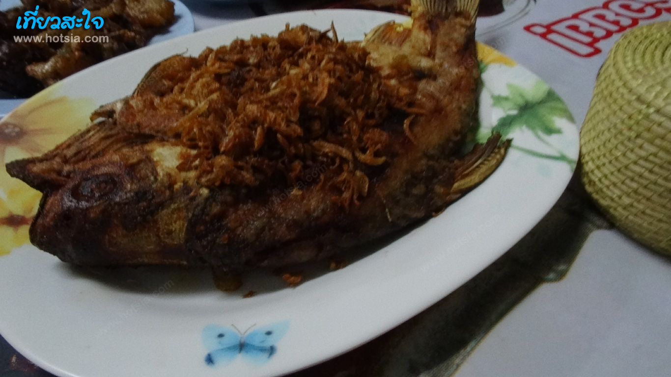 ยโสธร ปลาส้มยโสธร