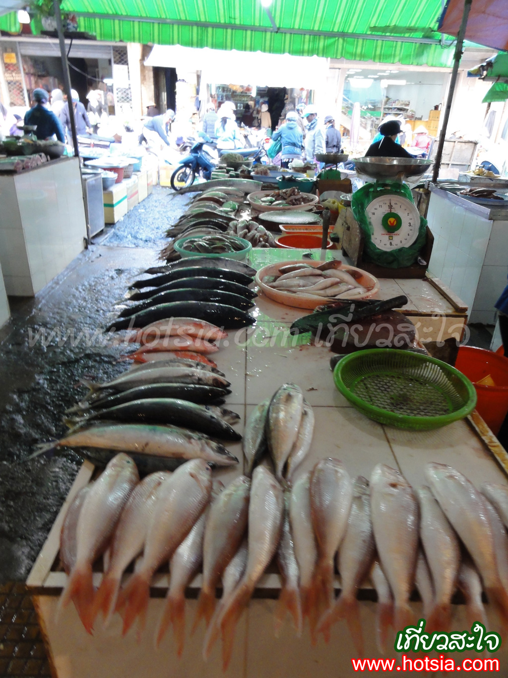 เที่ยวเวียดนาม เที่ยวดาลัด ตลาดเช้าเมืองดาลัด