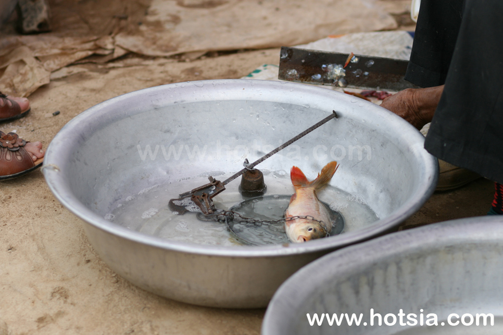 เวียดนาม เดียนเบีบนฟู ตลาดไทยดำ เดียนเบียนฟู