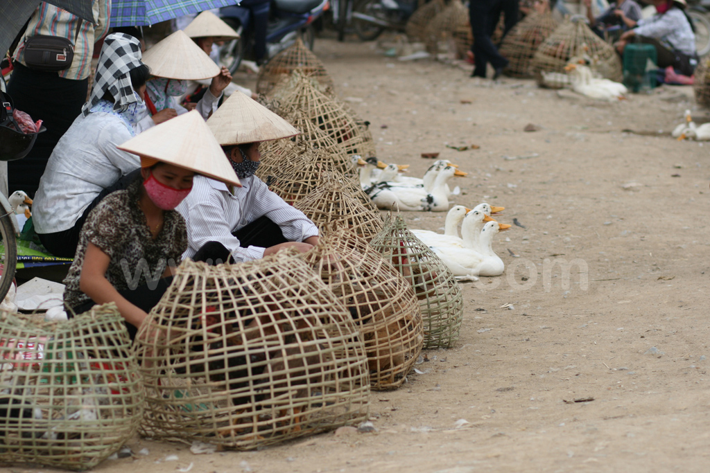 เวียดนาม เดียนเบีบนฟู ตลาดไทยดำ เดียนเบียนฟู