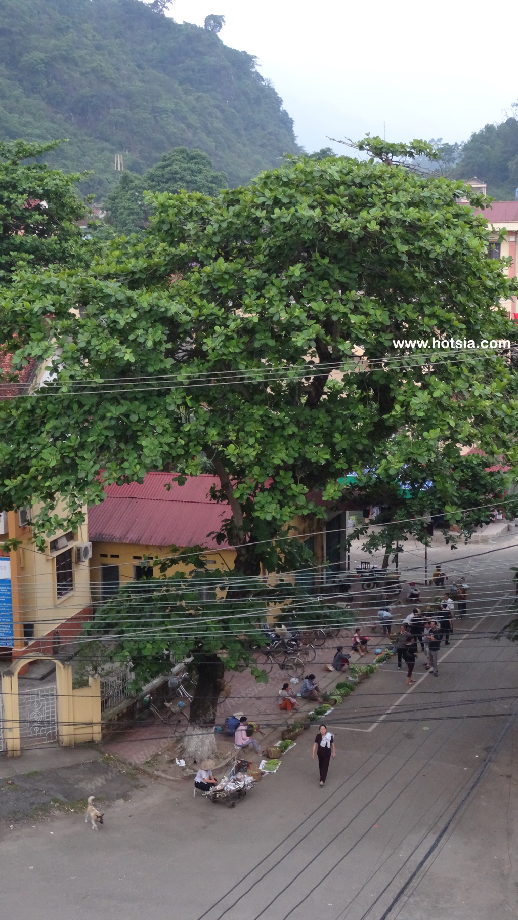 จังหวัดห่าซาง เวียดนาม ตลาดเช้าจังหวัดห่าซาง เวียดนาม