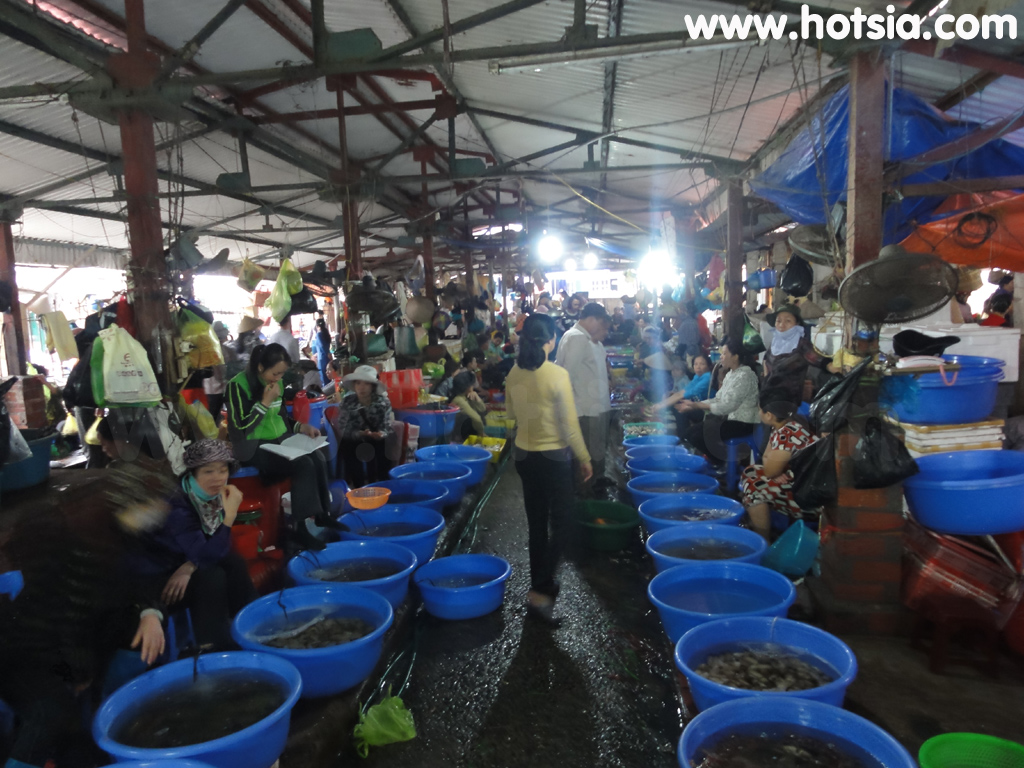 เที่ยวเวียดนาม เที่ยวฮาลอง ตลาดกั๊ตบา
