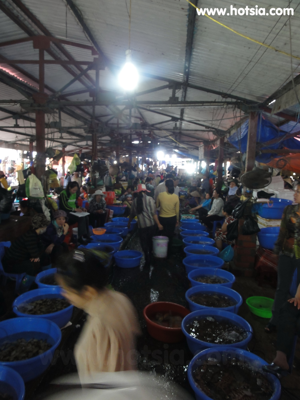 เที่ยวเวียดนาม เที่ยวฮาลอง ตลาดกั๊ตบา