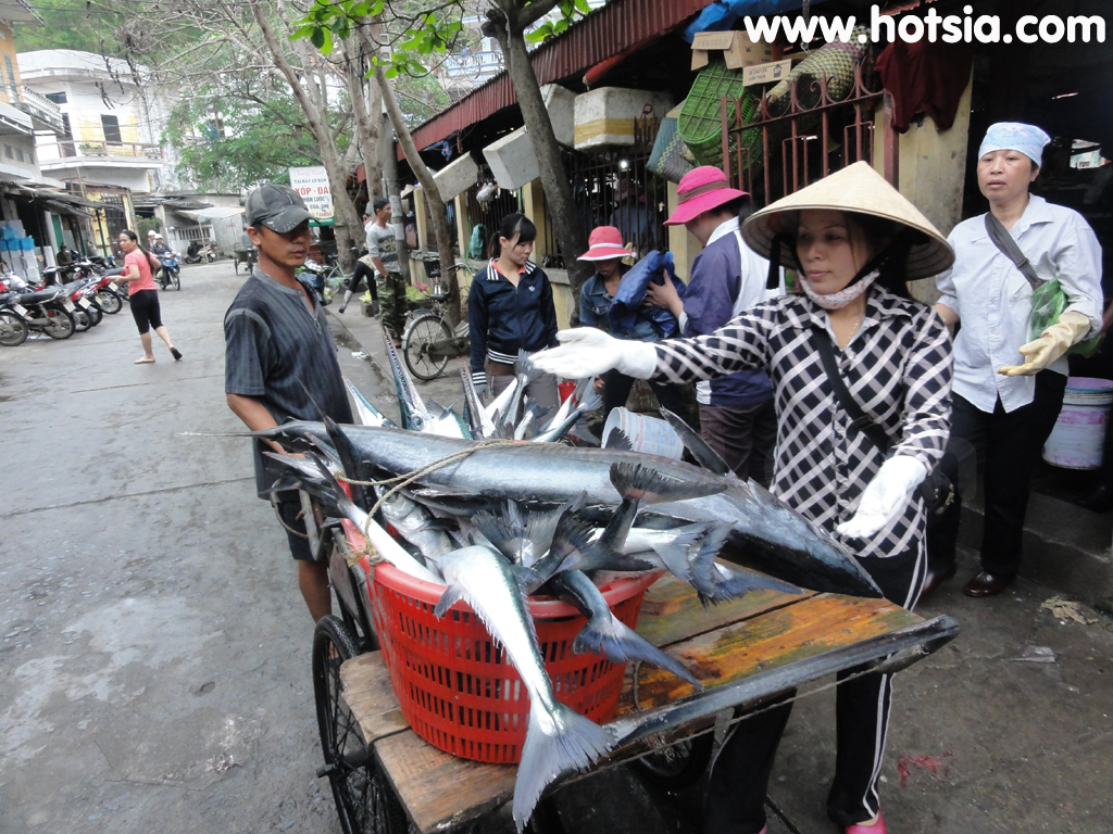 เที่ยวเวียดนาม เที่ยวฮาลอง ตลาดกั๊ตบา