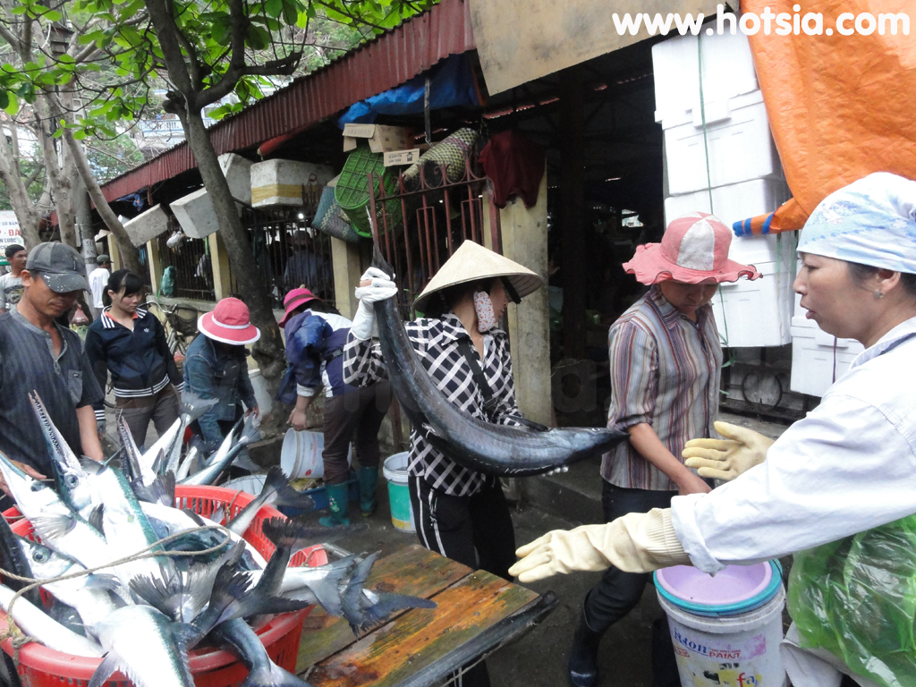 เที่ยวเวียดนาม เที่ยวฮาลอง ตลาดกั๊ตบา