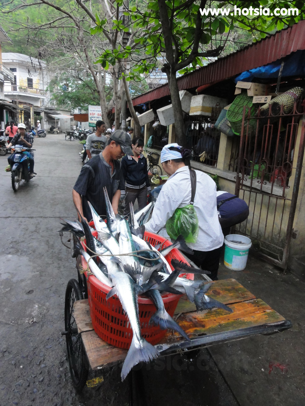 เที่ยวเวียดนาม เที่ยวฮาลอง ตลาดกั๊ตบา