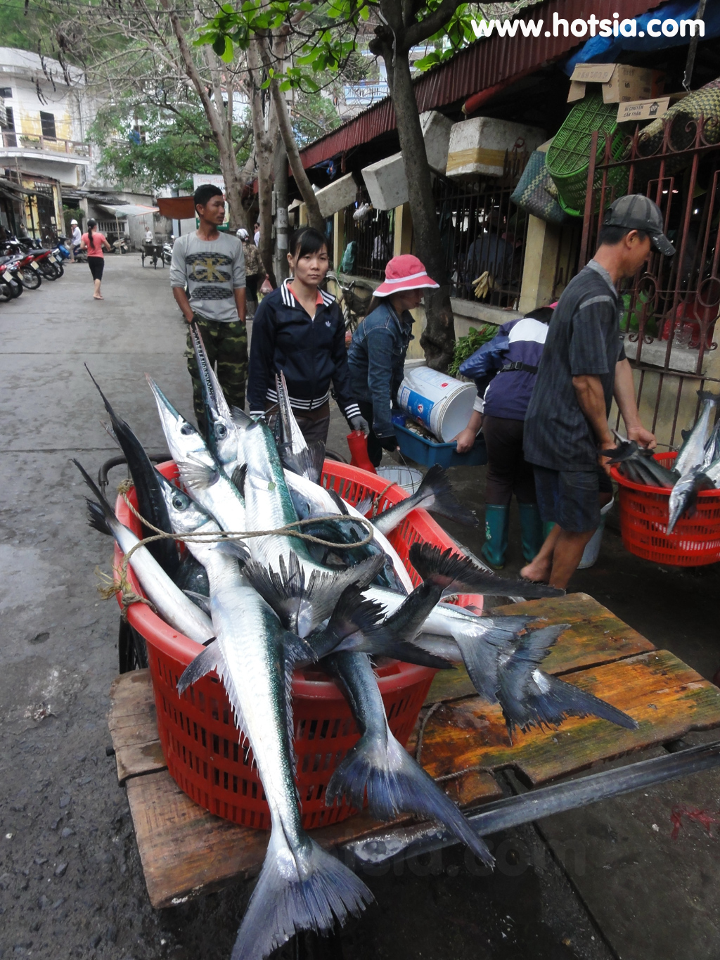 เที่ยวเวียดนาม เที่ยวฮาลอง ตลาดกั๊ตบา