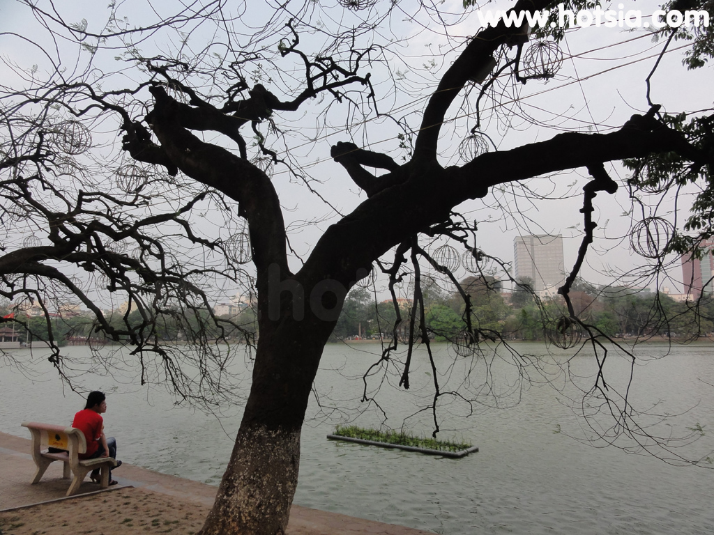 ฮานอย ทะเลสาบฮานอย ทะเลสาบคืนดาบ