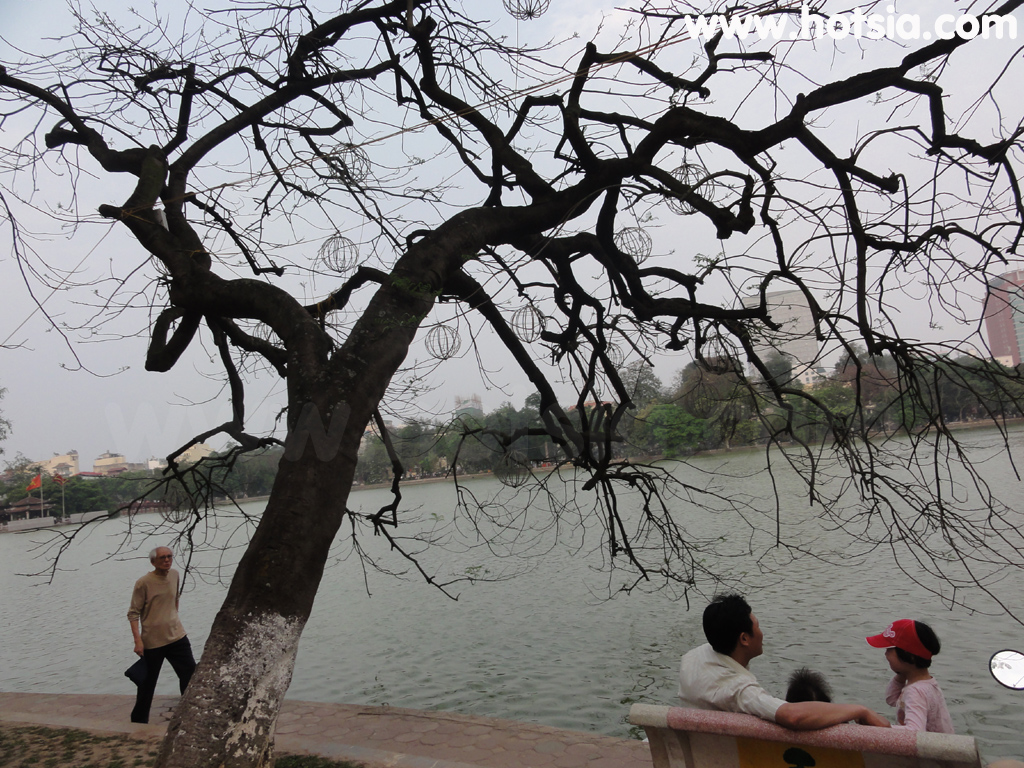 ฮานอย ทะเลสาบฮานอย ทะเลสาบคืนดาบ