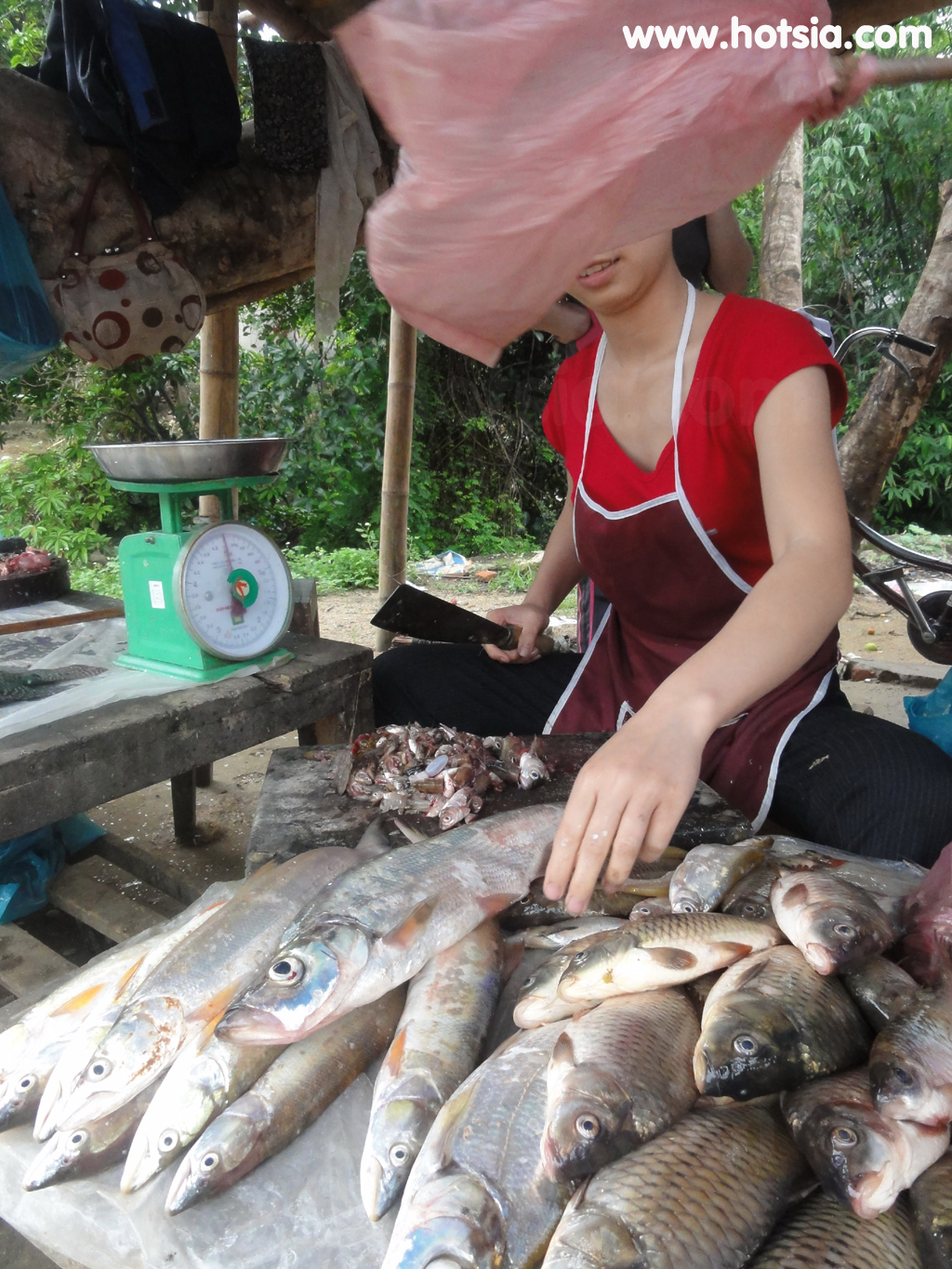มายโจ๋ว ตลาดไทยขาวมายโจ๋ว