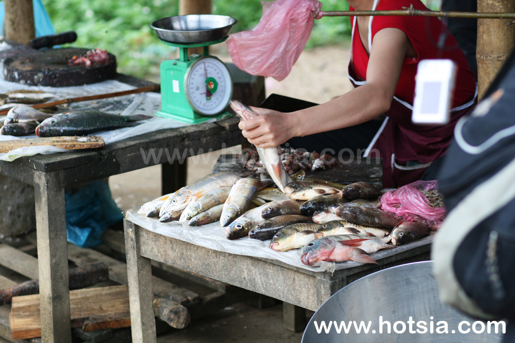 มายโจ๋ว ตลาดไทยขาวมายโจ๋ว