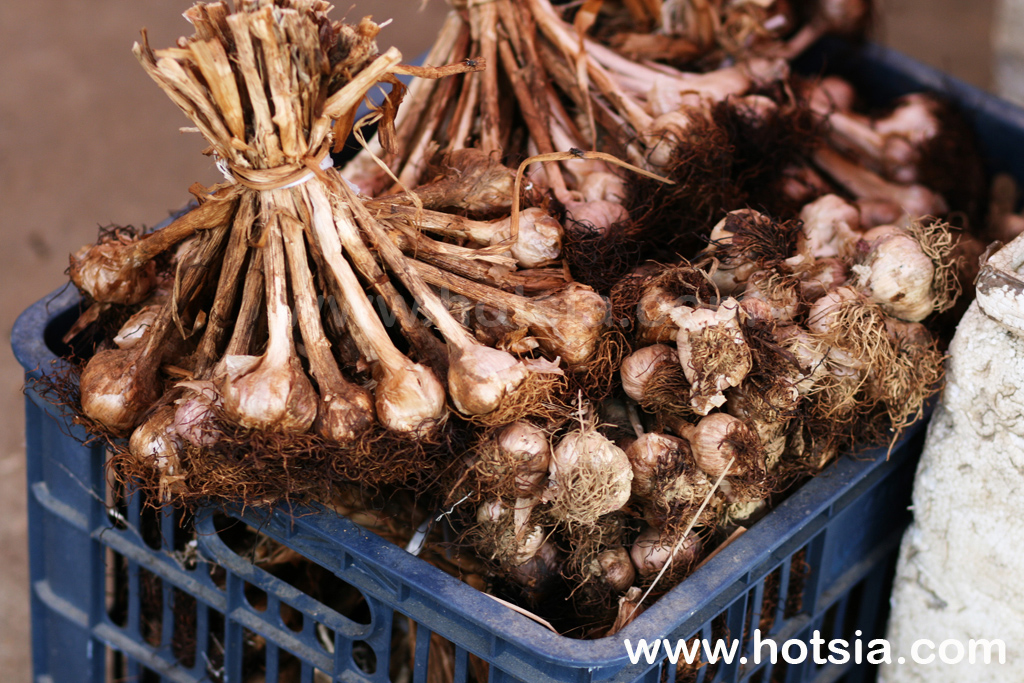 มายโจ๋ว ตลาดไทยขาวมายโจ๋ว