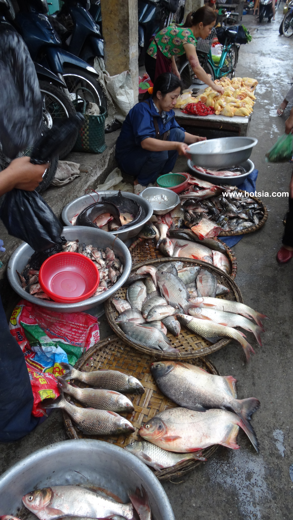 เวียดนาม จังหวัดนามดิ่ง เวียดนาม ตลาดเช้าจังหวัดนามดิ่ง เวียดนาม