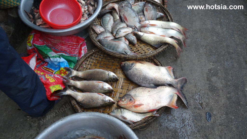 เวียดนาม จังหวัดนามดิ่ง เวียดนาม ตลาดเช้าจังหวัดนามดิ่ง เวียดนาม