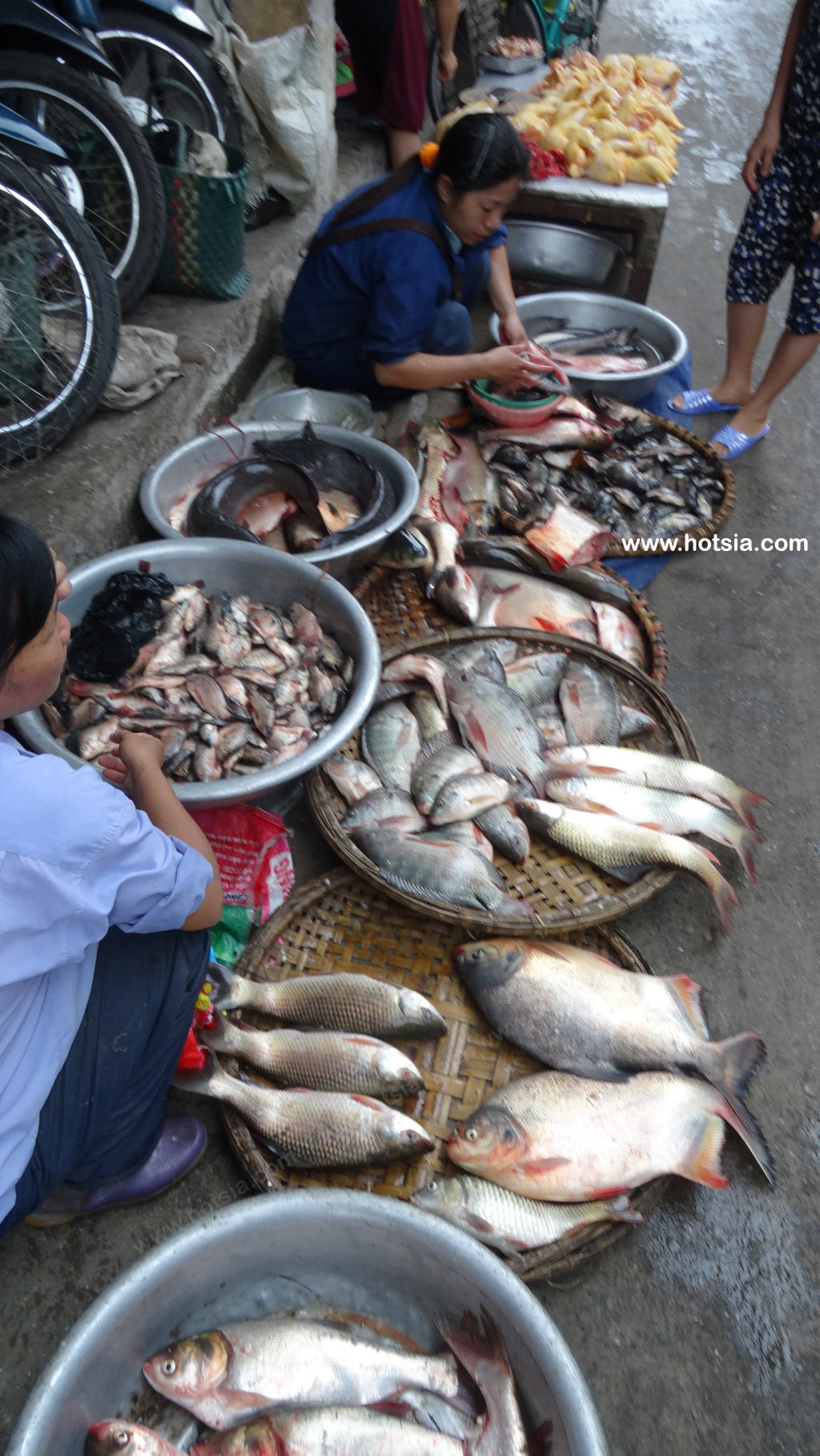 เวียดนาม จังหวัดนามดิ่ง เวียดนาม ตลาดเช้าจังหวัดนามดิ่ง เวียดนาม