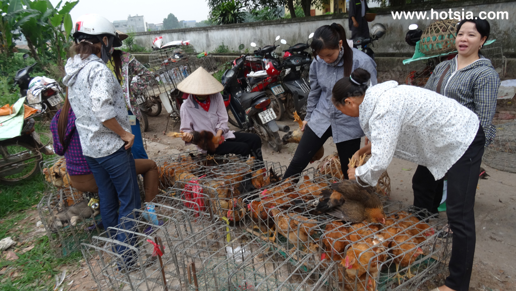 จังหวัดท้ายเงวียน เวียดนาม ตลาดเช้าจังหวัดท้ายเงวียน เวียดนาม