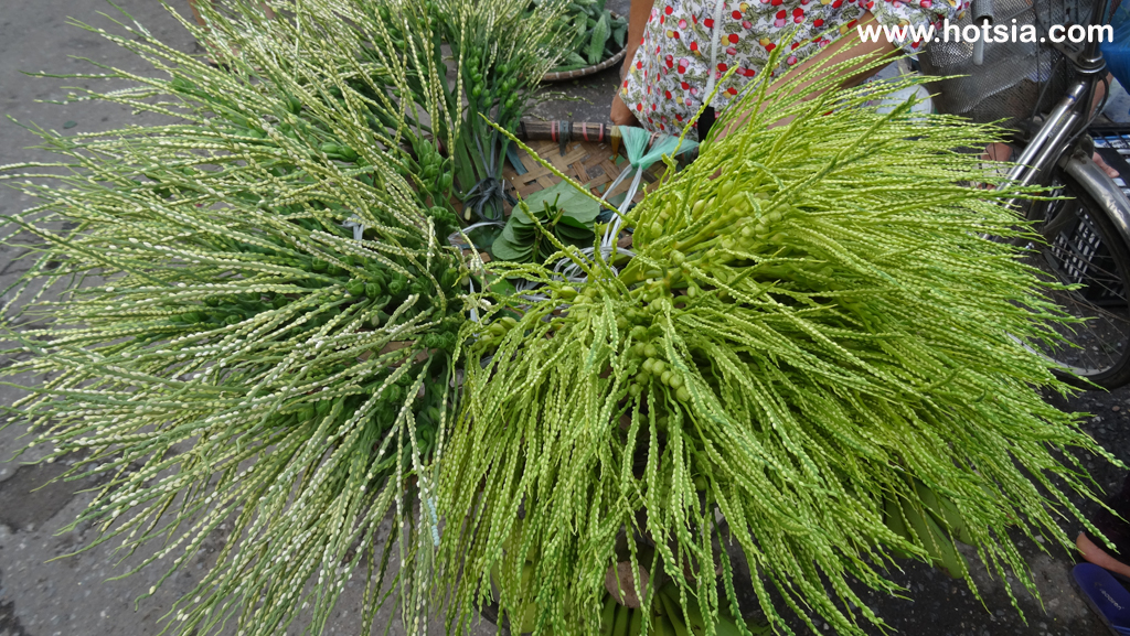 จังหวัดเตวียนกวาง เวียดนาม ตลาดเช้าจังหวัดเตวียนกวาง