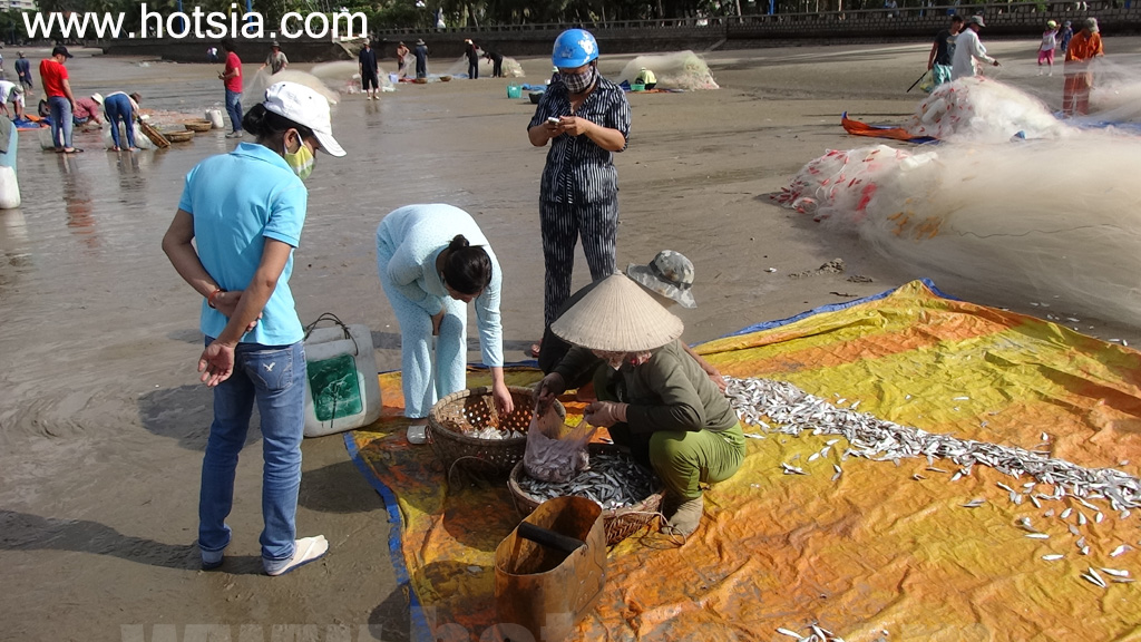 จังหวัดบ่าเสียะ-หวุงเต่า ปลาทะเลริมหาดหวุงเต่า
