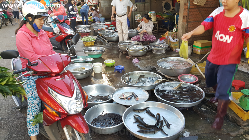 เมืองด่งซอย(Dong Xoai) จังหวัดบิ่ญเฟือก(Binh Phuoc) เมืองด่งซอย(Dong Xoai) จังหวัดบิ่ญเฟือก(Binh Phuoc) 2559
