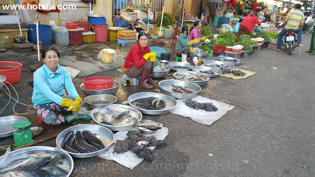 เมืองด่งซอย(Dong Xoai) จังหวัดบิ่ญเฟือก(Binh Phuoc) ตลาดเช้าด่งซอย(Dong Xoai morning market 2016)