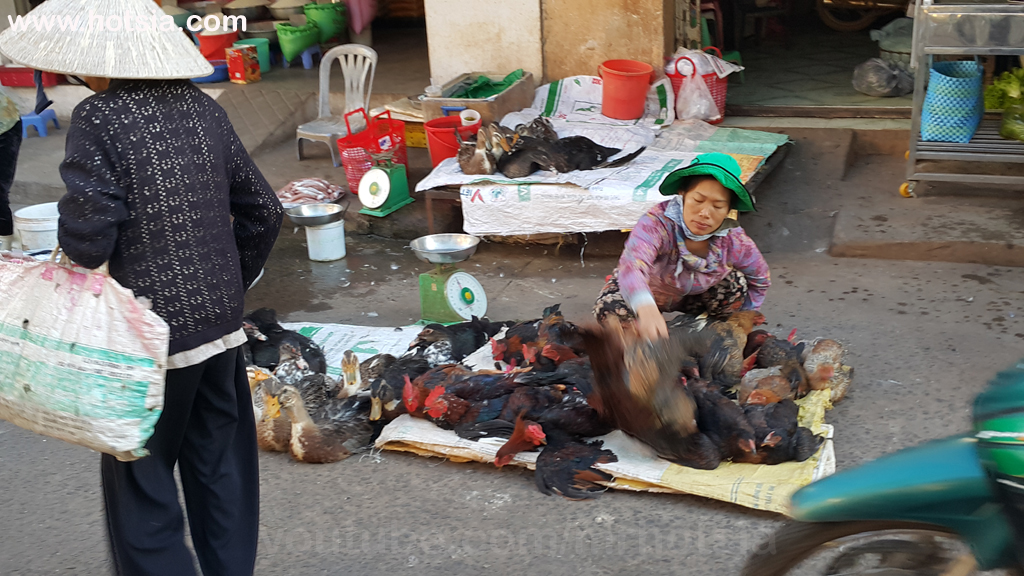 เมืองด่งซอย(Dong Xoai) จังหวัดบิ่ญเฟือก(Binh Phuoc) ตลาดเช้าด่งซอย(Dong Xoai morning market 2016)