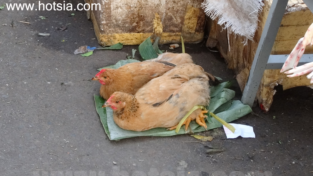 เที่ยวบวนมาทวด ตลาดบวนมาทวด