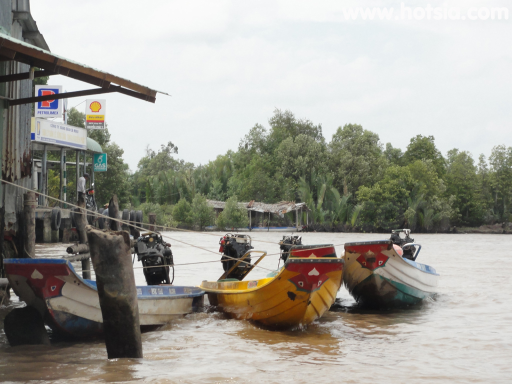 จังหวัดกาเมา(Ca Mau) เรือกาเมาไปดัทมุ๋ย (Boat from Ca Mau to Dat Mui)