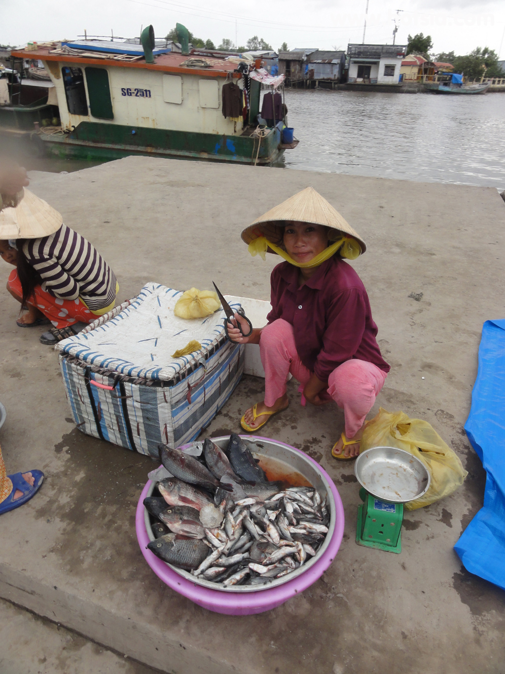 จังหวัดกาเมา(Ca Mau) เมืองดัทมุ๋ย(Dat Mui)